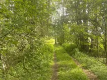 Prodej lesa, Chlum u Třeboně - Žíteč, 360000 m2