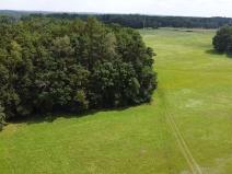 Prodej lesa, Chlum u Třeboně - Žíteč, 360000 m2