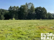 Prodej trvalého travního porostu, Šluknov, 14798 m2