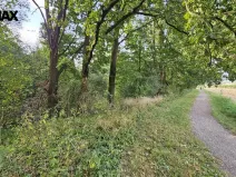 Prodej zahrady, Roudné, 2997 m2