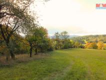 Prodej trvalého travního porostu, Žandov - Radeč, 3251 m2