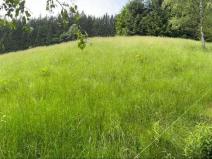 Prodej lesa, Staré Hamry, 2393 m2