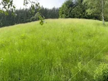 Prodej lesa, Staré Hamry, 2393 m2