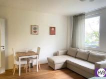 Pronájem bytu 1+kk, Praha - Vinohrady, Perucká, 38 m2