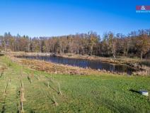 Prodej pozemku pro bydlení, Vrchotovy Janovice, 17697 m2