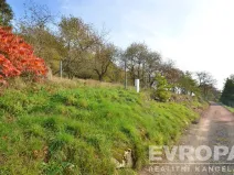 Prodej pozemku pro bydlení, Pečice - Pečičky, 2320 m2