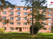 Pronájem bytu 2+1, Jihlava, Alšova, 58 m2