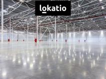 Pronájem skladu, Hladké Životice, 20000 m2