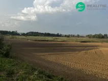 Prodej pole, Pavlov, 6292 m2