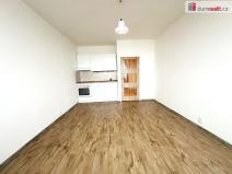 Prodej bytu 1+kk, Praha - Braník, Nad lesním divadlem, 24 m2