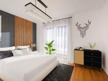 Prodej bytu 2+kk, Liberec - Liberec X-Františkov, Švermova, 60 m2