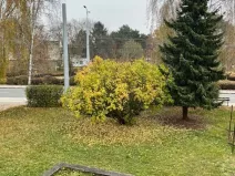 Pronájem bytu 3+1, Pardubice - Trnová, Jiřího Potůčka, 72 m2