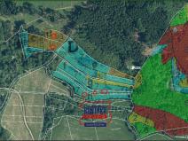 Prodej lesa, Loučim, 14671 m2