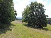 Dražba pole, Luhačovice, 26333 m2