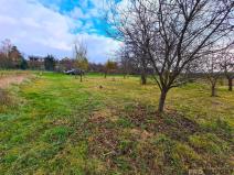 Prodej zahrady, Ivanovice na Hané, 1000 m2