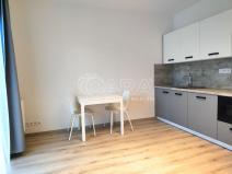 Pronájem bytu 1+kk, Tuchoměřice, V Kněžívce, 22 m2