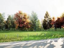 Prodej pozemku pro bydlení, Rychvald, 549 m2