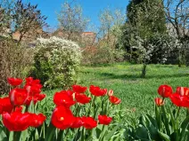 Prodej rodinného domu, Zlonice, Riegrova, 187 m2