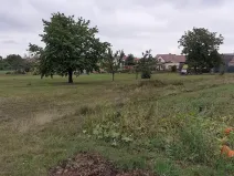 Prodej pozemku pro bydlení, Moravská Nová Ves, 5350 m2