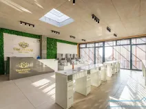 Pronájem obchodního prostoru, Dyjákovičky, 72 m2