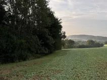 Prodej pozemku, Úštěk, 3584 m2