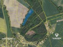 Prodej podílu lesa, Lány u Dašic, 1768 m2