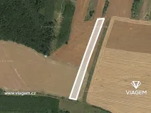Prodej podílu pole, Částkov, 2904 m2