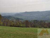 Prodej louky, Stráž nad Ohří, 38747 m2