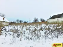 Pronájem zahrady, Běhařovice - Ratišovice, 2716 m2