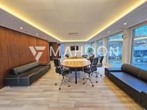 Pronájem skladu, Praha - Košíře, Vrchlického, 720 m2