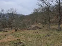 Prodej lesa, Ústí nad Labem, 13913 m2