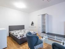 Pronájem bytu 1+kk, Praha - Holešovice, U průhonu, 40 m2