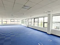 Pronájem kanceláře, Brno, Holandská, 1200 m2