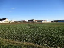Prodej pozemku pro bydlení, Ctidružice, 2624 m2