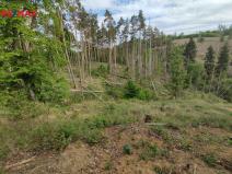 Prodej lesa, Číměř, 1493 m2