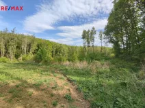 Prodej lesa, Číměř, 17681 m2