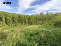 Prodej lesa, Číměř, 17681 m2