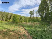 Prodej lesa, Číměř, 17681 m2