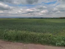 Prodej pole, Veliká Ves, 8750 m2