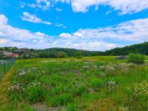 Prodej pozemku pro bydlení, Ruprechtov, 755 m2