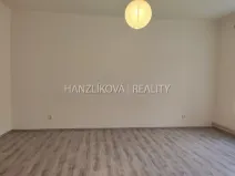 Pronájem bytu 1+1, České Budějovice - České Budějovice 3, Skuherského, 40 m2