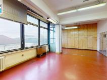 Pronájem skladu, Plzeň, Radobyčická, 310 m2