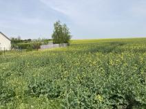 Prodej pozemku pro bydlení, Plenkovice, 800 m2