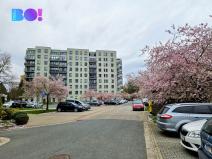 Prodej bytu 3+kk, Pardubice - Polabiny, Labský Palouk, 84 m2