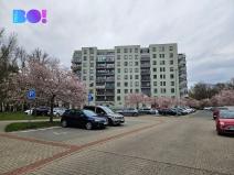 Prodej bytu 3+kk, Pardubice - Polabiny, Labský Palouk, 84 m2