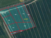 Prodej podílu pole, Štětí, 14932 m2