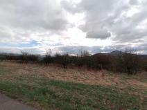 Prodej podílu sadu/vinice, Chotiměř, 4287 m2