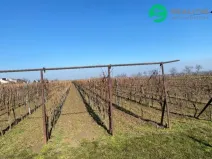 Prodej pole, Moravská Nová Ves, Na Výsluní, 3165 m2