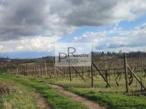Prodej sadu/vinice, Drnholec, 550 m2