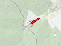 Prodej lesa, Pačlavice, 544 m2